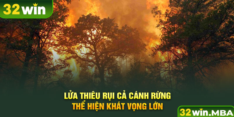 Lửa thiêu rụi cả cánh rừng thể hiện khát vọng lớn